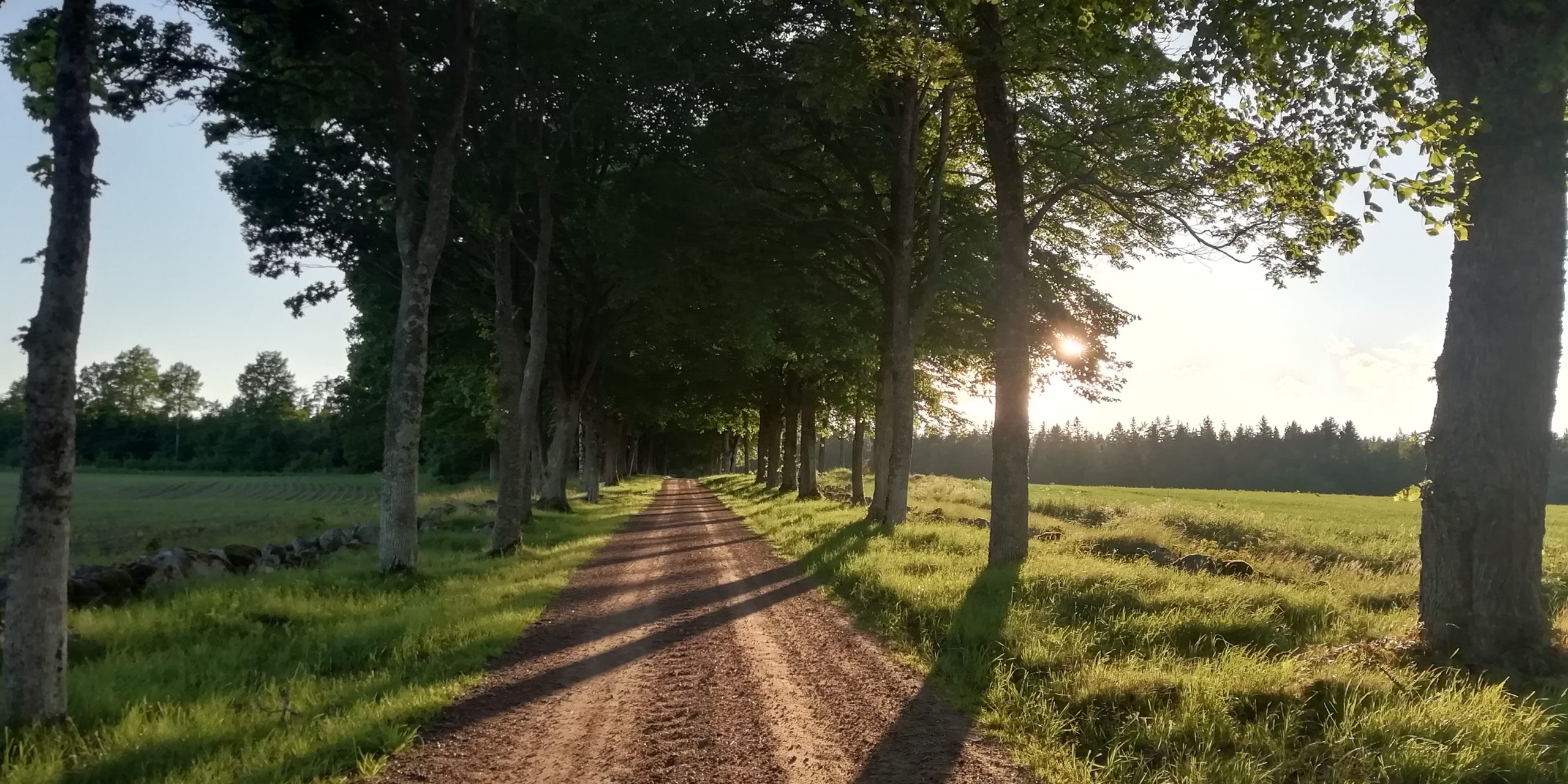 Panta rhei – Alles bewegt sich fort und nichts bleibt.