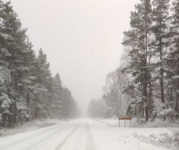 Ehrfurcht – Winter in Schweden
