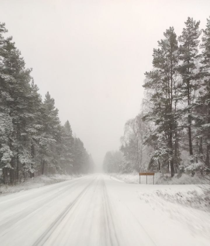 Ehrfurcht – Winter in Schweden